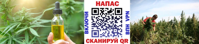кракен маркетплейс  Сызрань  Cannafood конопля 